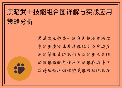 黑暗武士技能组合图详解与实战应用策略分析